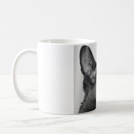 Oriental Shorthair Cat Mok (Links)