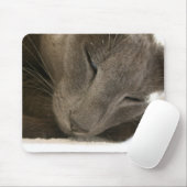 Oriental Shorthair Cat Mouse Mat. Muismat (Met muis)