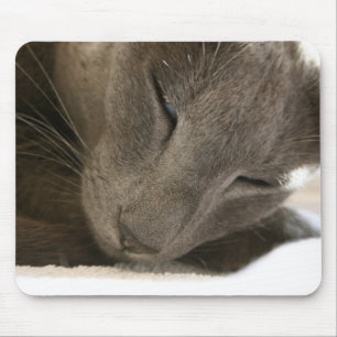 Oriental Shorthair Cat Mouse Mat. Muismat