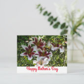 Oriental Trumpet Lily Happy Moederdag Briefkaart (Staand voorkant)