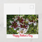 Oriental Trumpet Lily Happy Moederdag Briefkaart (Voorkant / Achterkant)