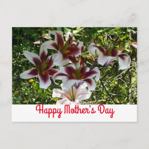 Oriental Trumpet Lily Happy Moederdag Briefkaart