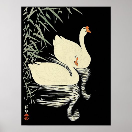 Oriental White gese door Reeds van Ohara Koson Poster (Voorkant)