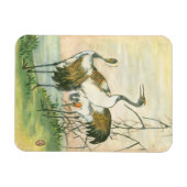 Orientale kranen door het water magneet (Horizontaal)