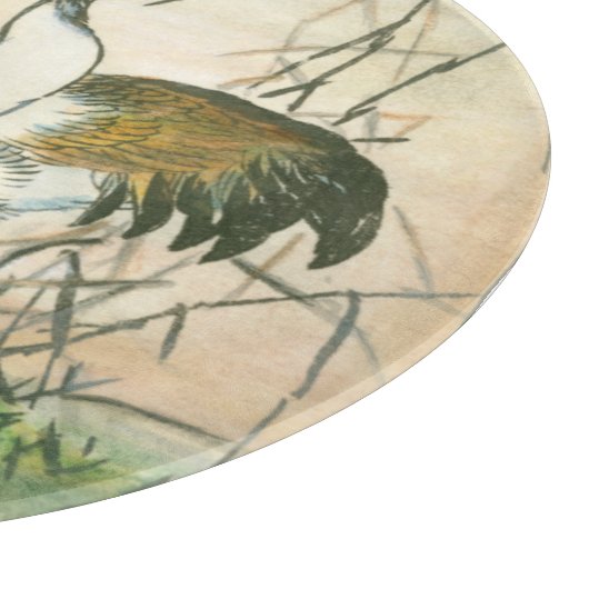 Orientale kranen door het water snijplank (Hoek)