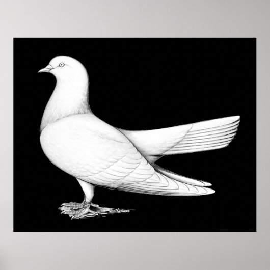 Orientale rol: type vliegend vaartuig poster (Voorkant)