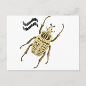 Orientalis van Goliathus Briefkaart (Voorkant)