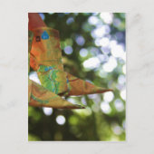 Origami Briefkaart (Voorkant)