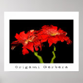 Origami Gerbera Poster (Voorkant)