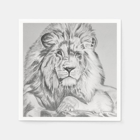 Original Pencil sketch Drawing of a Lion Servet (Voorkant)