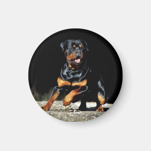 Original Rottweiler Magnet (Voorkant)