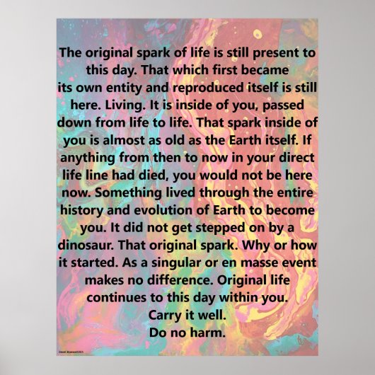Original Spark Of Life Poster (Voorkant)