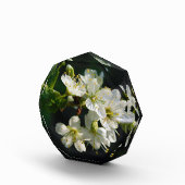 Original White Plum Photo Graduation Art Block Fotoblokken (Rechts)