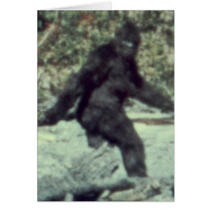 ORIGINEEL 1967 BIGFOOT SASQUATCH FOTO