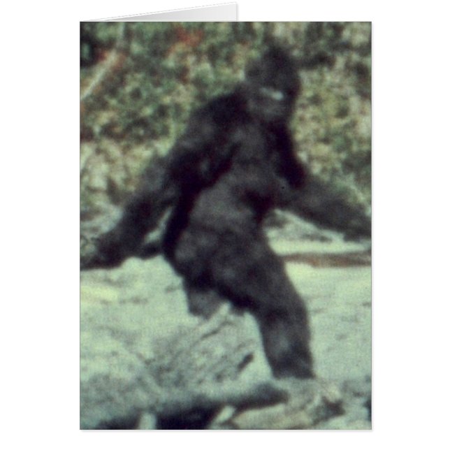 ORIGINEEL 1967 BIGFOOT SASQUATCH FOTO (Voorkant)