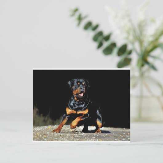 Origineel Briefkaart rottweiler (Staand voorkant)