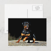 Origineel Briefkaart rottweiler (Voorkant / Achterkant)