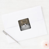 Origineel ontwerp Siberische kat Stickers (Envelop)