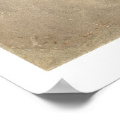 ORIGINEEL Patent voor de katoenplant (1794) Poster (Hoek)