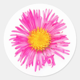 Origineel schattig eenmalig plant met bloesem ronde sticker