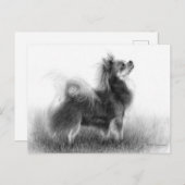 Origineel schilderij van Chihuahua Briefkaart (Voorkant / Achterkant)