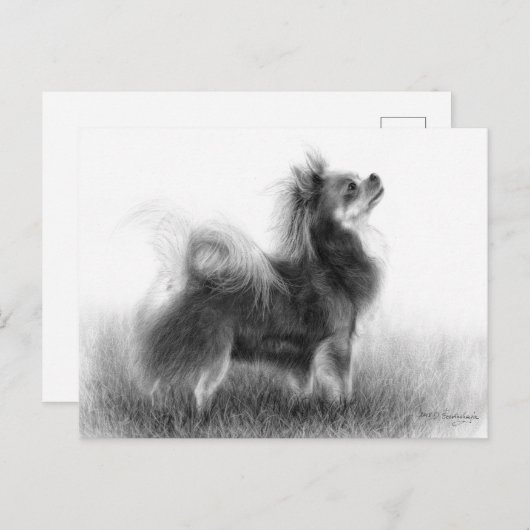 Origineel schilderij van Chihuahua Briefkaart (Voorkant / Achterkant)