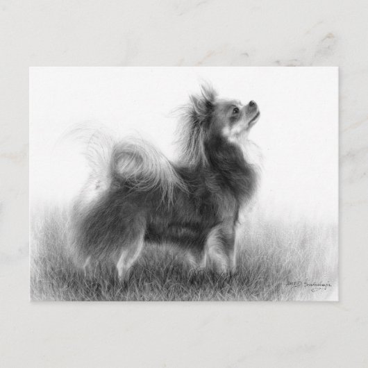 Origineel schilderij van Chihuahua Briefkaart (Voorkant)