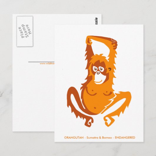 Originele afbeelding - ORANGUTAN - Bedreigde soort Briefkaart (Voorkant / Achterkant)
