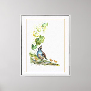 Originele Aquarel Californische Kwartelfamilie Dru Canvas Afdruk