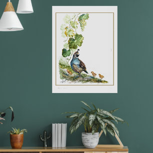 Originele Aquarel Californische Kwartelfamilie Dru Poster