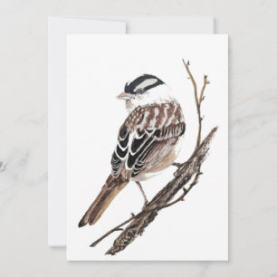 Originele Aquarel Witte Kroonmus Vogel Kaart