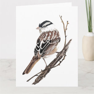 Originele Aquarel Witte Kroonmus Vogel Kaart