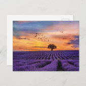 Originele Art Lone Tree Peaceful Scenery    Briefkaart (Voorkant / Achterkant)