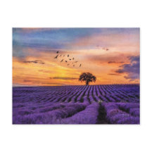 Originele Art Lone Tree Peaceful Scenery   