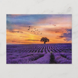 Originele Art Lone Tree Peaceful Scenery    Briefkaart
