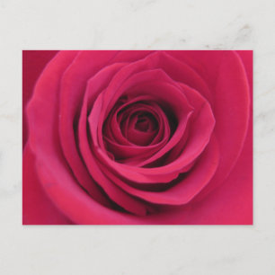 Originele Bloem Macro Rode Roos Fotografie Briefkaart