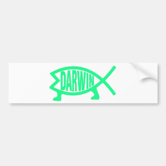 Originele Darwin Fish (Seafoam) Bumpersticker (Voorkant)