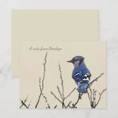 Originele 'Fine Art Blue Jay' voor vogelovers Notitiekaartje (Voorkant / Achterkant)