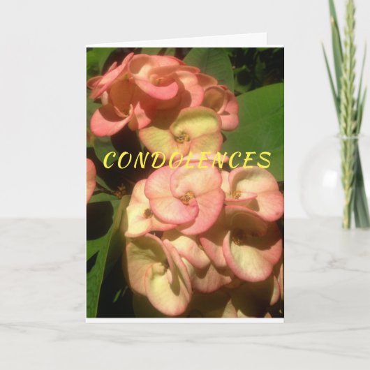 Originele foto en het trekken op de Kaart van de (Voorkant)