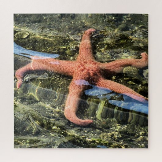 Originele foto van Starfish under Water Legpuzzel (Verticaal)