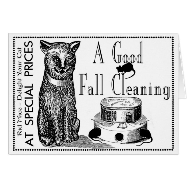 ORIGINELE GRAFISCHE ADVERTEREN "MUIS MUNCHIES" (Voorkant Horizontaal)