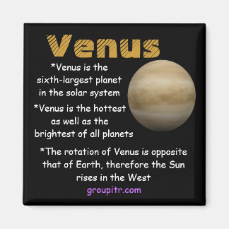 Originele Groupitr Venus Magnet