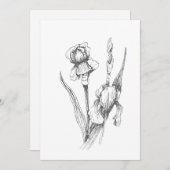 Originele hand getrokken iris, botanische kunst kaart (Voorkant / Achterkant)