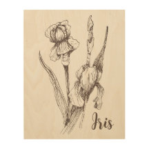 Originele Handtekening van Iris Flower