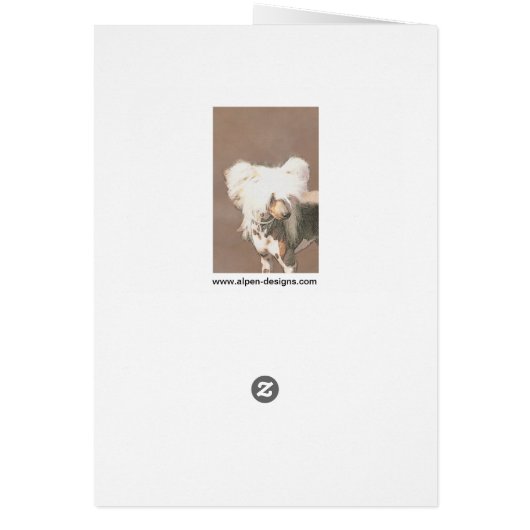 Originele honkloze schilderkunst van Chinese maffi (Achterkant)