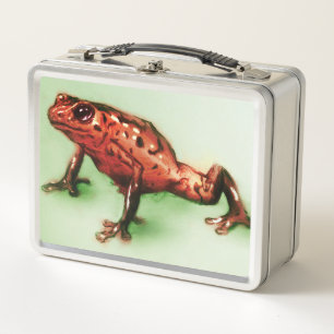 Originele  kunst metalen lunchbox - Frog
