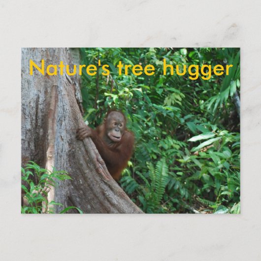 Originele Natuur van Hugger Borneo Briefkaart (Voorkant)