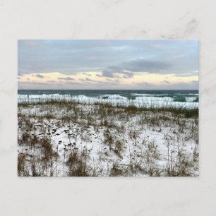 Originele Reis Fotografie Zuid Carolina Briefkaart