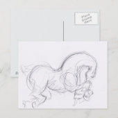 Originele tekening 3 Paardenjaar Dierenriem Ansich Briefkaart (Voorkant / Achterkant)