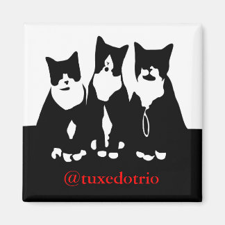 Originele TuxedoTrio magneet